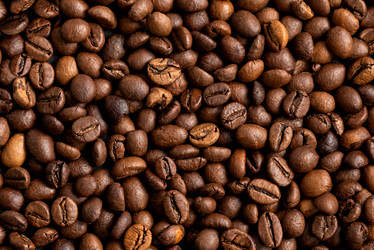 Similar image 21440261