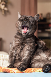 Similar image 21444477