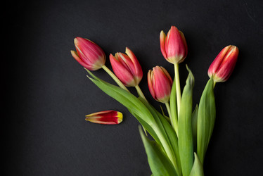 Similar image 21442022