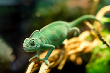 Similar image 21440280