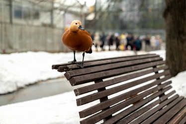 Similar image 21440281