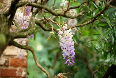 Similar image 21440282