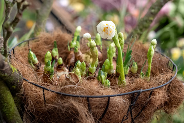 Similar image 21440284