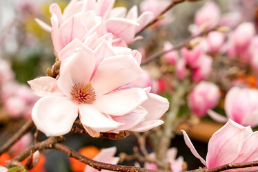 Similar image 21440285