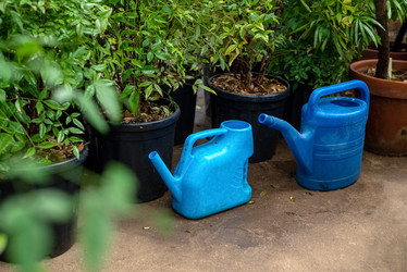 Similar image 21444490