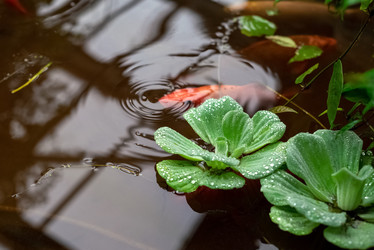 Similar image 21440286