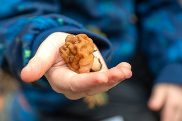 Similar image 21440289