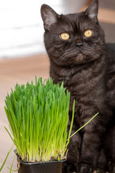 Similar image 21444504