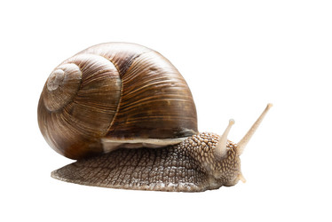 Similar image 21445205