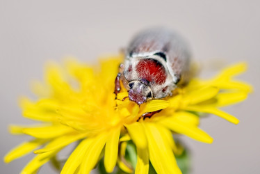 Similar image 21440361