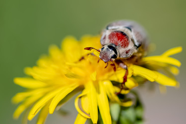 Similar image 21440362