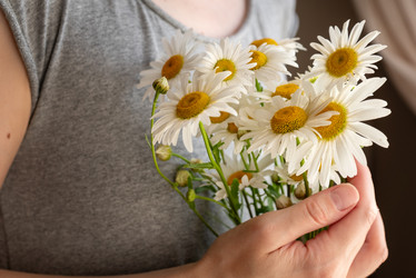 Similar image 21444512