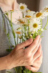 Similar image 21440370