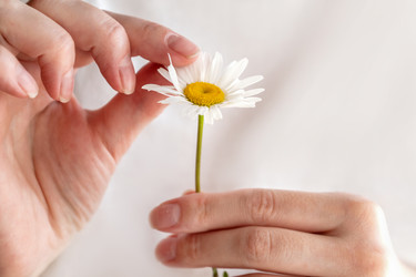 Similar image 21445209