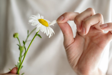 Similar image 21446512