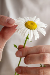 Similar image 21445588