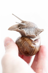 Similar image 21440313