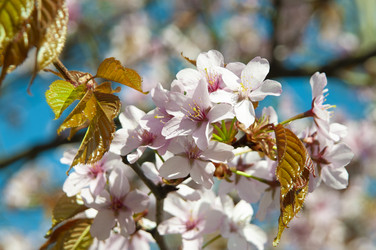 Similar image 21442069