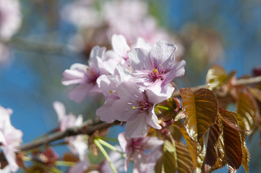 Similar image 21442070