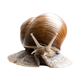 Similar image 21440314