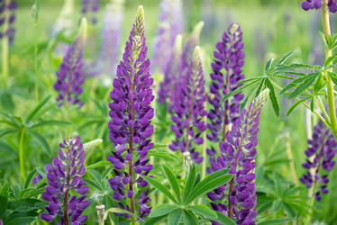 Similar image 21444521