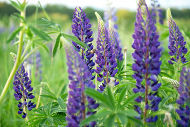 Similar image 21442023