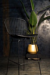 Similar image 21444526