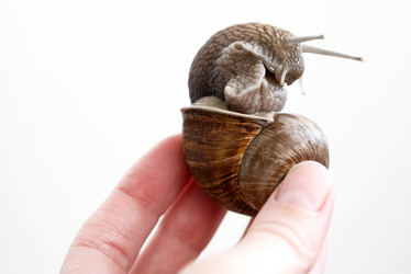 Similar image 21444529