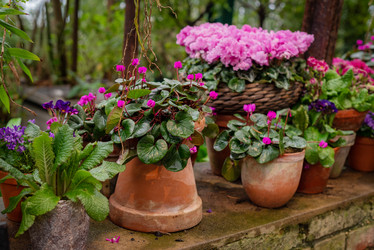 Similar image 21440335