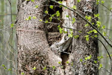 Similar image 21440340