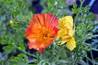 Similar image 21440376