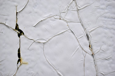 Similar image 21440378