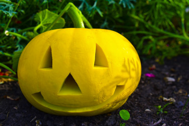 Similar image 21440381