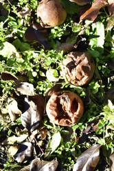 Similar image 21440383