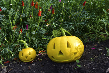 Similar image 21440384