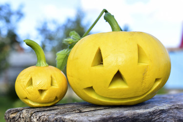 Similar image 21440388