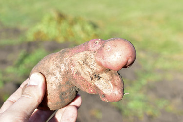 Similar image 21440389