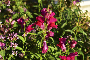 Similar image 21440390