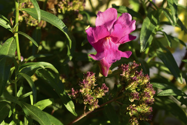 Similar image 21440391