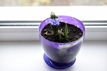 Similar image 21440395