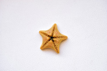 Similar image 21440400