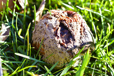 Similar image 21440403