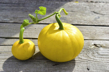 Similar image 21440426