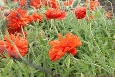 Similar image 21469862