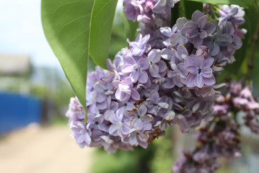 Similar image 21469863