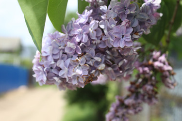 Similar image 21469864