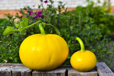 Similar image 21440432