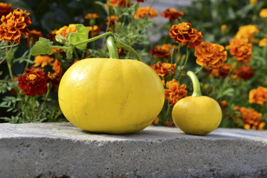 Similar image 21440433