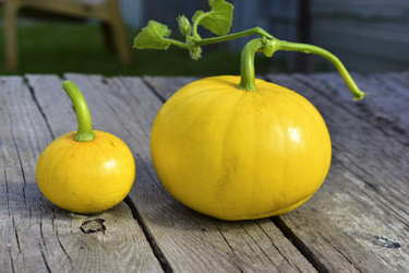 Similar image 21440434