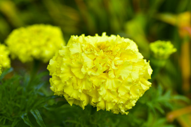 Similar image 21440435